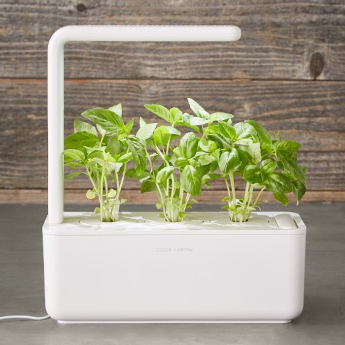 The Smart Garden – Wedding Gift For Sister